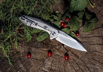 Фото Ніж складний Ruike P135-SF