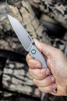 Фото Ніж складний Ruike P831-SF