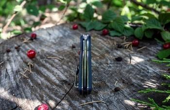 Фото Ніж складний Ruike Fang P105-K